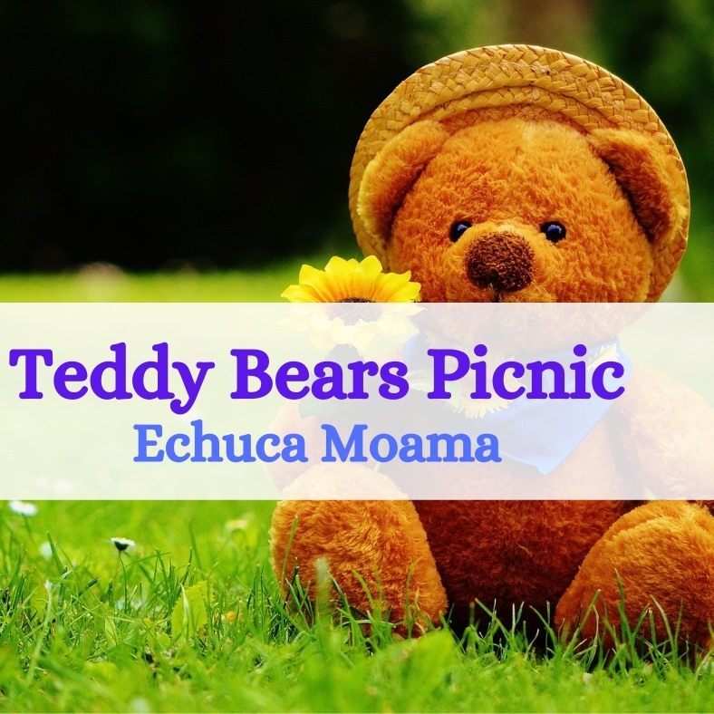 Teddy Bears Picnic is back Murray River Council